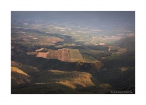gso_2309019387