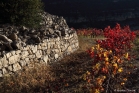 Terroir de l'Escalette