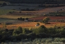 Vallée de l'Hérault, 2010 (réf 101104_34)