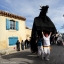 Le taureau de Portiragnes, animal totémique