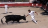 Course camarguaise, Mauguio