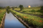 Le canal de Gignac à Aniane