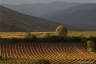 Terrasses du Larzac, 2010