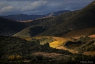 Saint-Chinian  /  Roquebrun