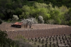 Saint-Chinian  /  Roquebrun