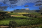 Vignoble de Faugères