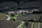 Saint-Chinian / Vieussan, vallée de l'Orb (1604072023)