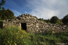 Une capitelle à Faugères (1705160471)