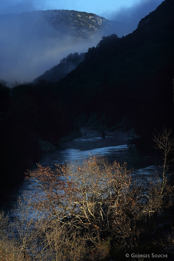 Gorges de l'Hérault