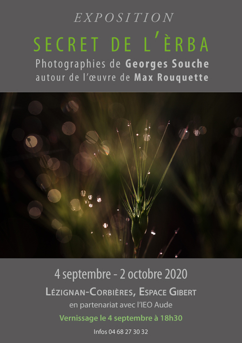 affiche-SDE-lezignan-web-500